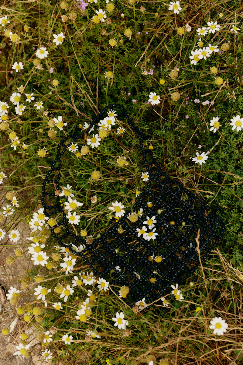 Chamomile
