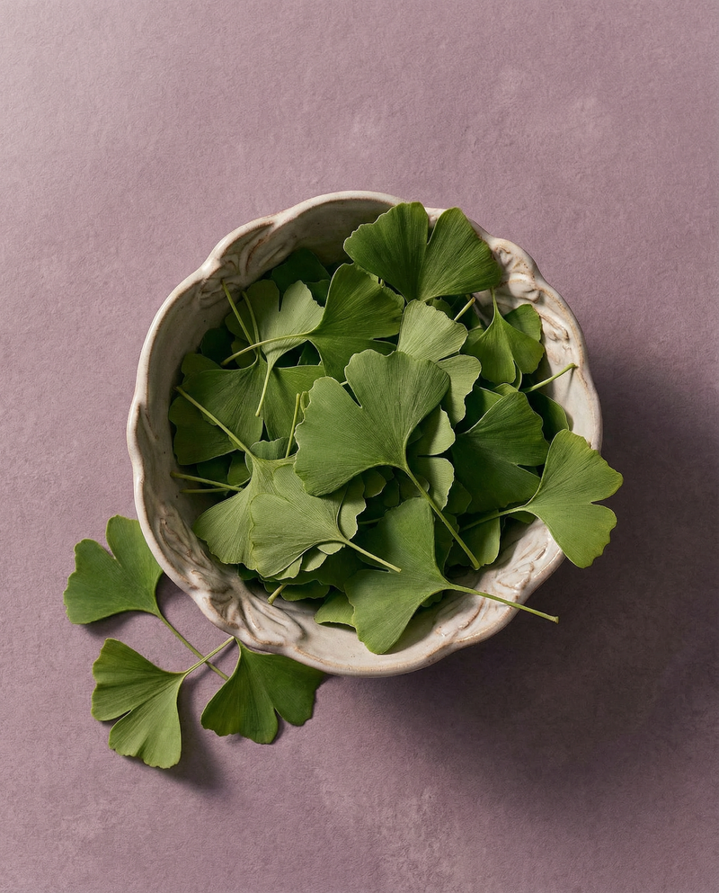 Ginkgo Biloba